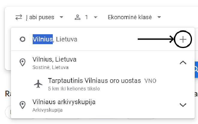 Google Skrydziai