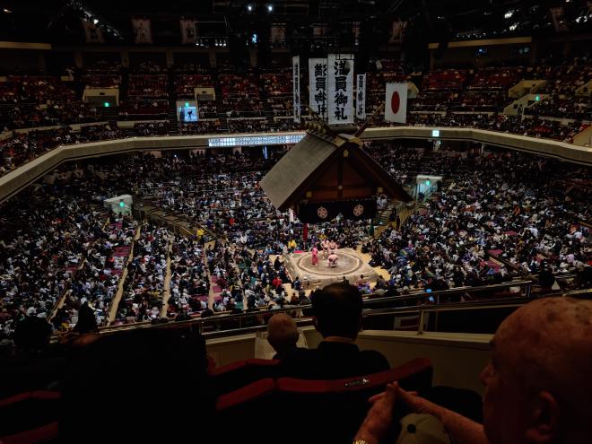 sumo